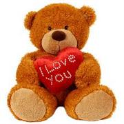I Love You Teddy