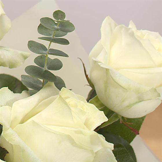 Extra Whte Roses white roses
